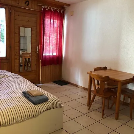 Canebiere Apartment Verbier